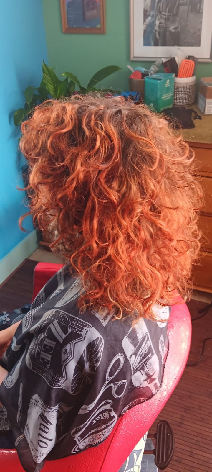 Copper curly colour and cut